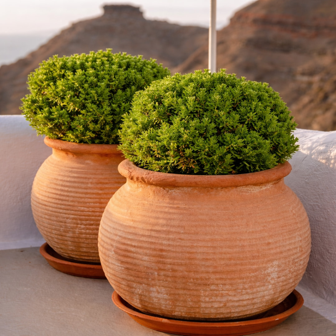 Traditional Santorini clay pots on sunlit terrace
